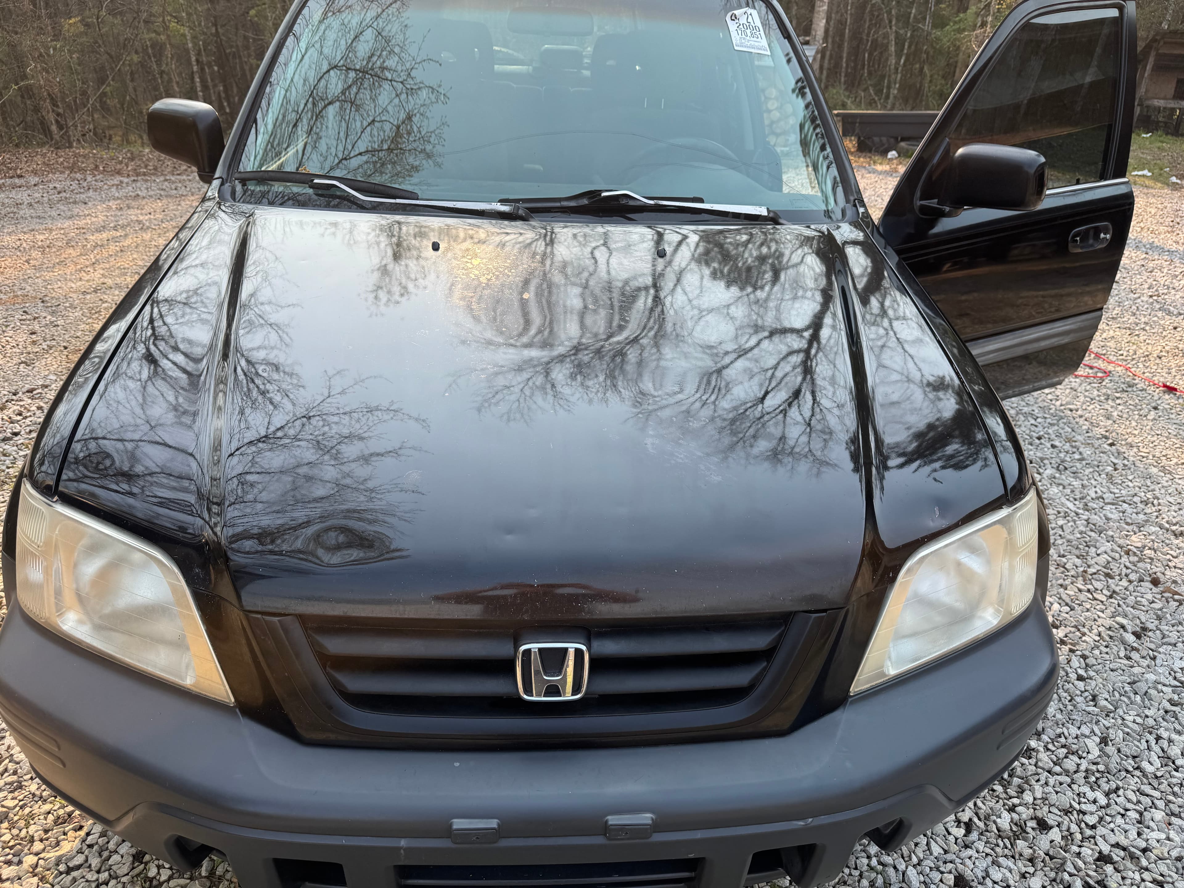 Black Honda SUV with tree reflections on the hood and an open door on gravel.